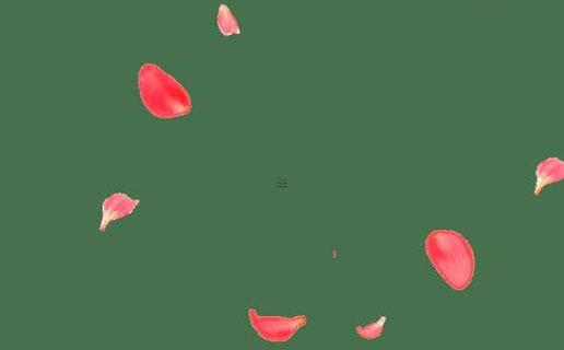 算命生辰八字天狗什么意思 八字里天狗是什么意思