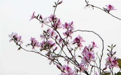 屬龍今年的運氣和財運怎么樣,屬龍今年的運氣和財運怎么樣88年出生