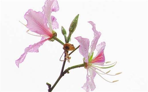 2023屬虎財(cái)運(yùn)好嗎吉祥嗎,2023年屬虎的運(yùn)勢(shì)和財(cái)運(yùn)
