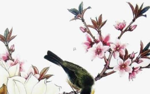 八字里財是代表什么生肖 八字里財是代表什么生肖的意思
