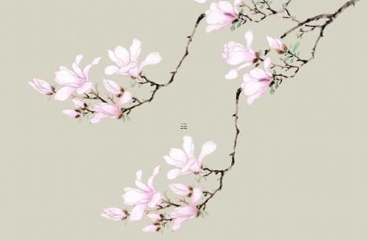 八字缺火喜水是什么意思 八字缺火但水為喜用神