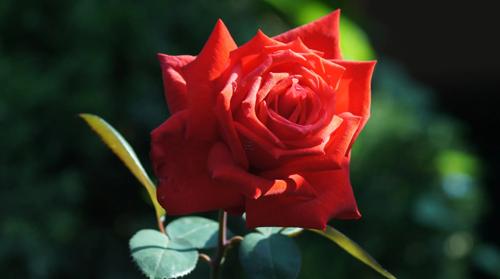 夢見別人上門找自己借錢 夢到別人找我借錢什么預兆 夢見別人上門找自己借錢 夢到別人找我借錢什么預兆