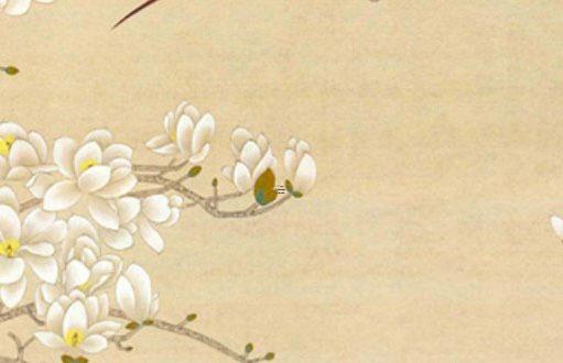 屬兔的今年有結婚的日子不 屬兔今年適合結婚嗎