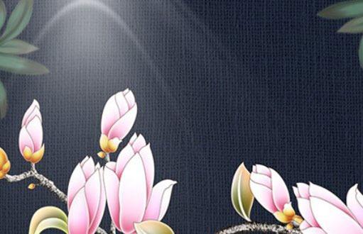 屬虎和屬猴的屬相合不合 屬猴的屬虎的合不合