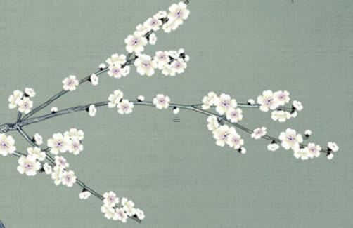 1965出生屬蛇今年多大 1965年屬蛇的多大