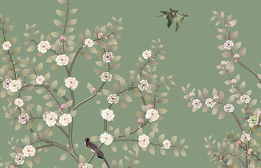屬龍的人養什么植物最旺,屬龍人養什么植物最旺財 百度網盤