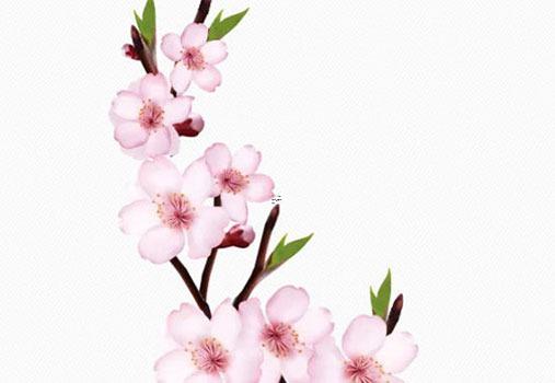 八字入火鄉是什么意思 八字火入庫