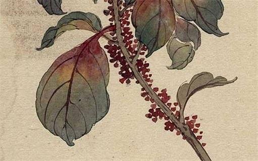 孩子八字弱帶點什么意思 孩子八字偏弱