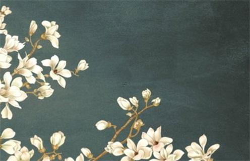 八字刑穿什么意思 刑 八字 詳論