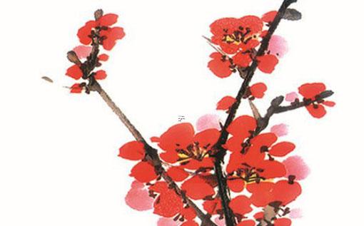 楊貴妃八字為什么沒 楊貴妃八字命理