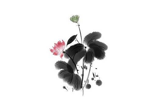 別姓歷史名人 別姓的歷史名人