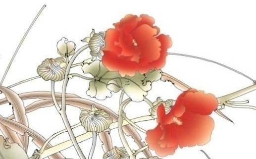 屬蛇男與屬兔女的婚姻相配嗎,屬蛇男和屬兔女相配嗎