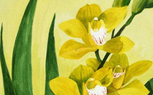 屬兔戴如意吊墜好嗎，屬兔的人戴玉吊墜好嗎