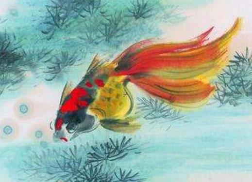 外八字是什么足 外八字是什么樣的 外八字是什么足 外八字是什么樣的