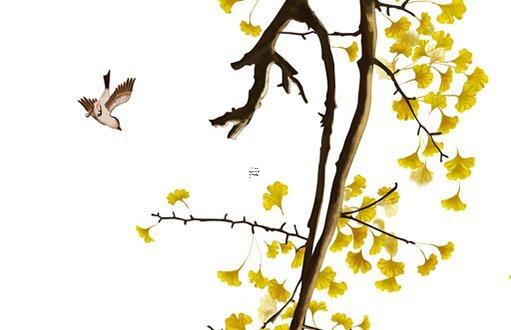 海淘轉(zhuǎn)運(yùn)公司注冊(cè)步驟之詳解篇 海淘轉(zhuǎn)運(yùn)公司怎么操作