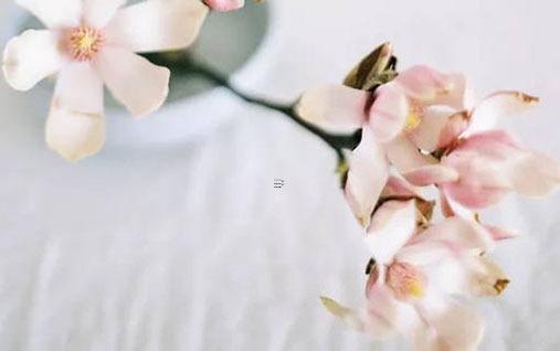 什么樣的八字有名聲 什么樣的八字有名氣