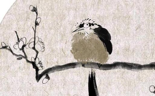 67歲屬蛇是哪年出生的,67歲的屬蛇人今年有什么不好