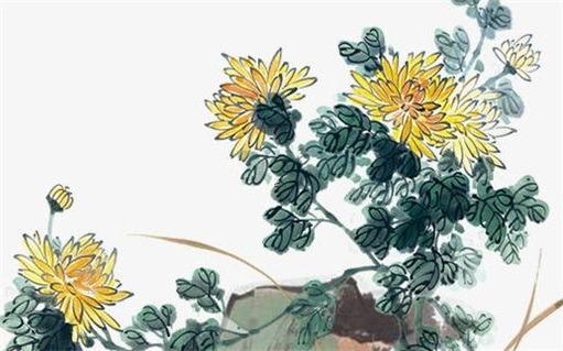 貔貅什么材質的最有靈性 十二生肖哪個不適合戴貔貅