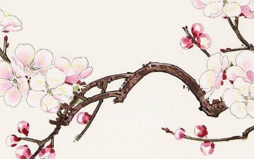 八字什么代表桃花 八字中什么代表桃花