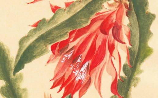 1947年屬豬的月份分析 1947年屬豬的今年多大