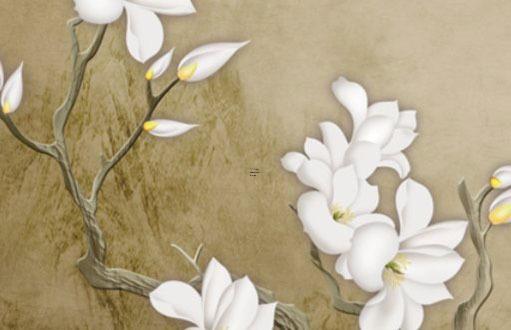 屬虎女人的婚姻 屬虎女人的婚姻與感情運(yùn)勢(shì)