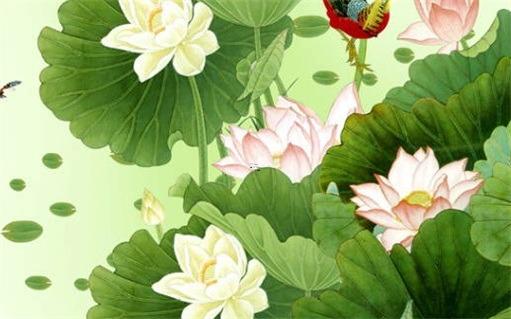 屬蛇吉祥色2023年,屬蛇2023年吉祥顏色 屬蛇吉祥色2023年,屬蛇2023年吉祥顏色