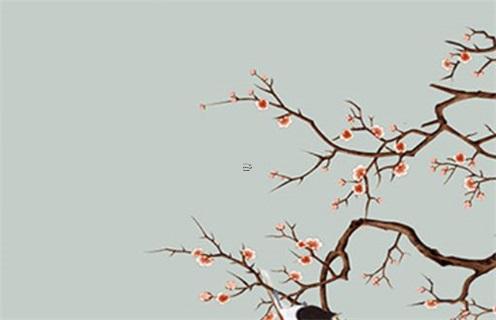 什么生肖八字好合 什么生肖八字好合婚姻