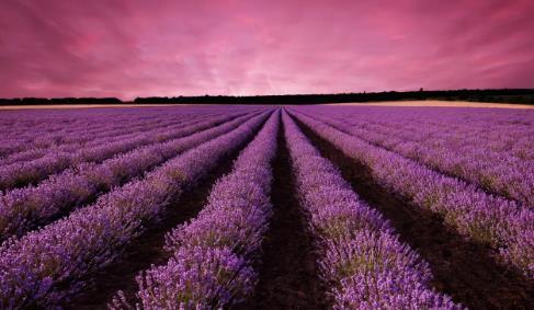 夢到有人被**是什么意思 夢到有人被**是什么意思
