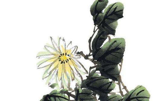 屬猴2023年身體咋樣,屬猴在2023年運勢怎么樣 屬猴2023年身體咋樣,屬猴在2023年運勢怎么樣