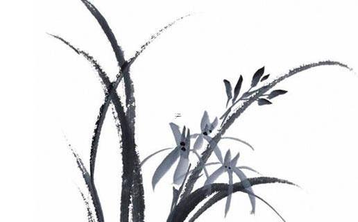 然八字屬什么顏色 顏色八字屬性