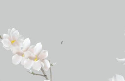 出生日期怎么查八字五行缺什么 怎么查詢出生時(shí)辰五行缺什么