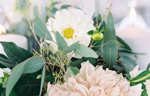 星座代表是花薔薇