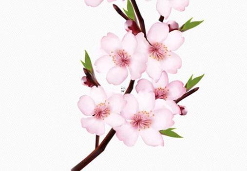 生辰八字分析命風(fēng)水還有什么 試論生辰八字與風(fēng)水及姓名的關(guān)系