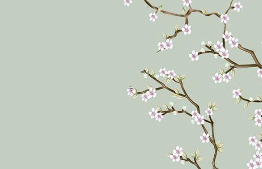 屬蛇今年適合穿啥顏色衣服 今年屬蛇穿什么顏色好