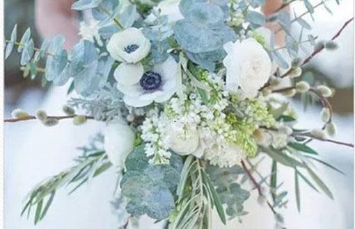 兩個星座畫出來 兩個星座畫出來