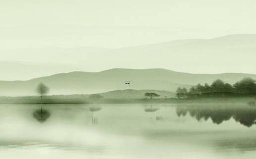 84年女鼠一生命運財運 84年屬鼠女人一生運程