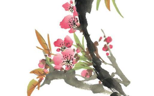 祿姓氏的來歷 祿姓的來源和歷史 祿姓氏的來歷 祿姓的來源和歷史