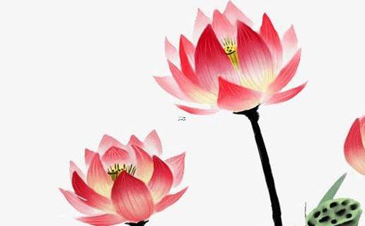 自己開公司取名字叫什么招財