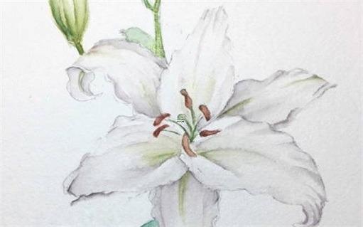 屬鼠人家里可以擺什么擺件,屬鼠家里擺什么最旺財