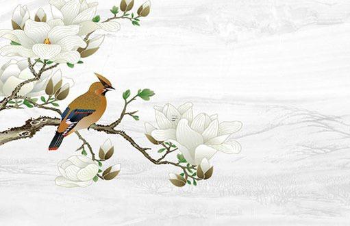 屬虎人戴什么最旺,屬虎女戴什么最旺財