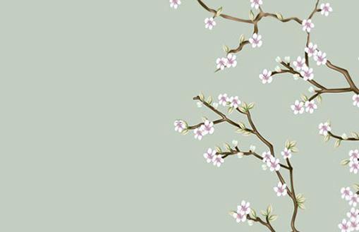 87年兔明年本命年結(jié)婚