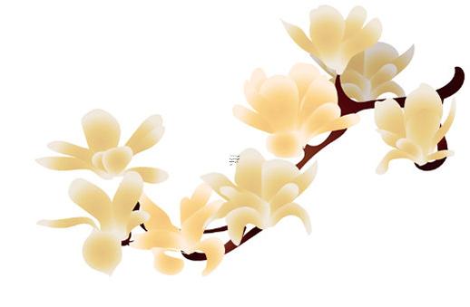 生辰八字與五行之間有什么關(guān)系 生辰八字與五行相生相克