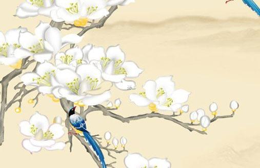 本命年屬兔什么菩薩保佑好,屬兔 本命菩薩