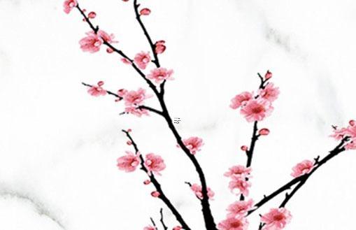 八字喜土火是什么生肖 八字喜土火什么意思 八字喜土火是什么生肖 八字喜土火什么意思