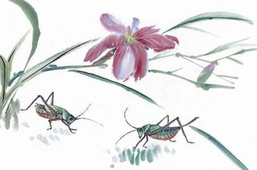 屬虎今日賭運好不好 屬虎今日打牌運勢每日運程