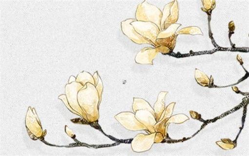 八字天干桃花什么意思 天干的桃花是怎么推算