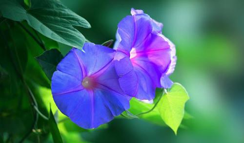 女人夢見女鬼壓身征兆 夢到女鬼壓著我 女人夢見女鬼壓身征兆 夢到女鬼壓著我