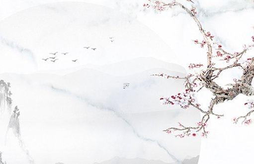 屬蛇的2023年運勢如何男,屬蛇人在2023年的運勢如何 屬蛇的2023年運勢如何男,屬蛇人在2023年的運勢如何