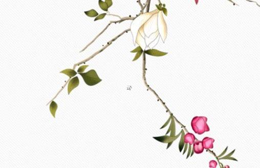 農歷六月出生蛇寶寶取名 農歷六月的蛇寶寶