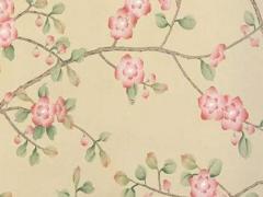 麥玲玲2023年屬虎人運程,2023年運勢及運程